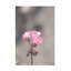 Art sur toile «Bachelor»-104143501
