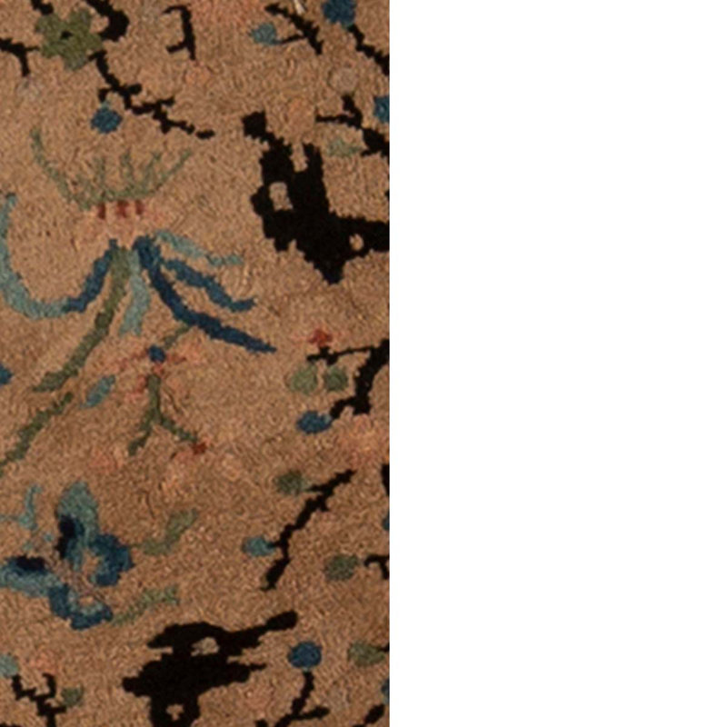 Wool Floral Area Rug