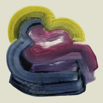 Abstract Mollusk II - Wrapped Canvas Painting