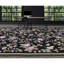 Needlepoint Azm One-of-a-Kind 12'3" X 18'2" Area Rug
