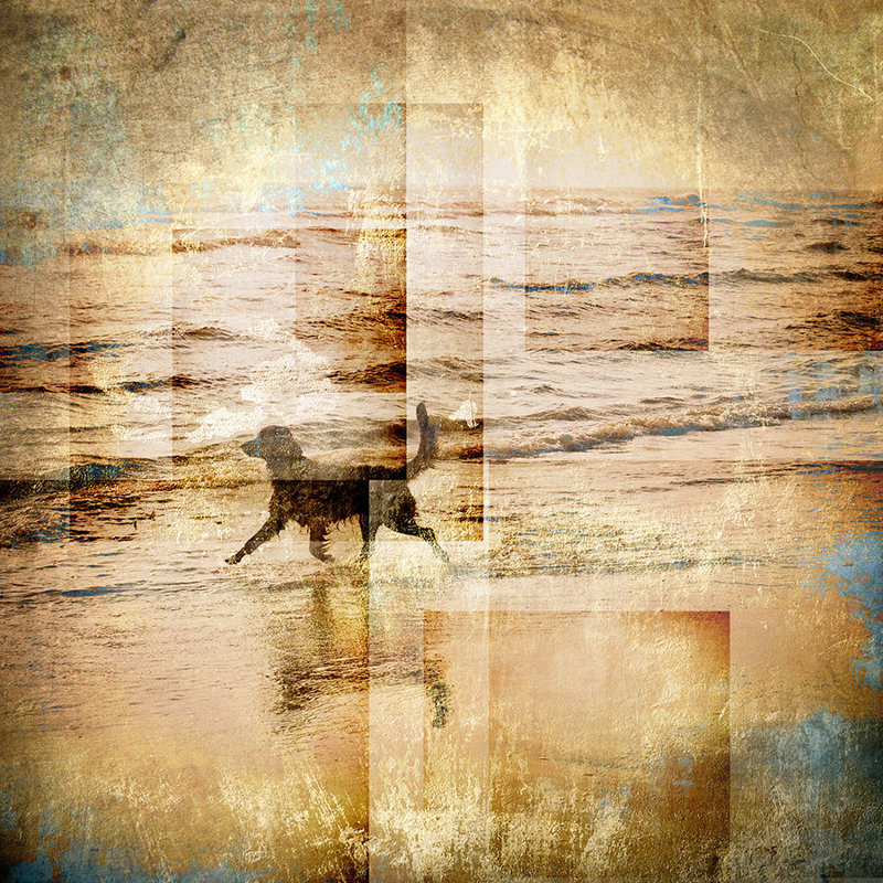 Coastal Sunrise IV Print by Zoey Riley, Plexi, 24" H x 24" W