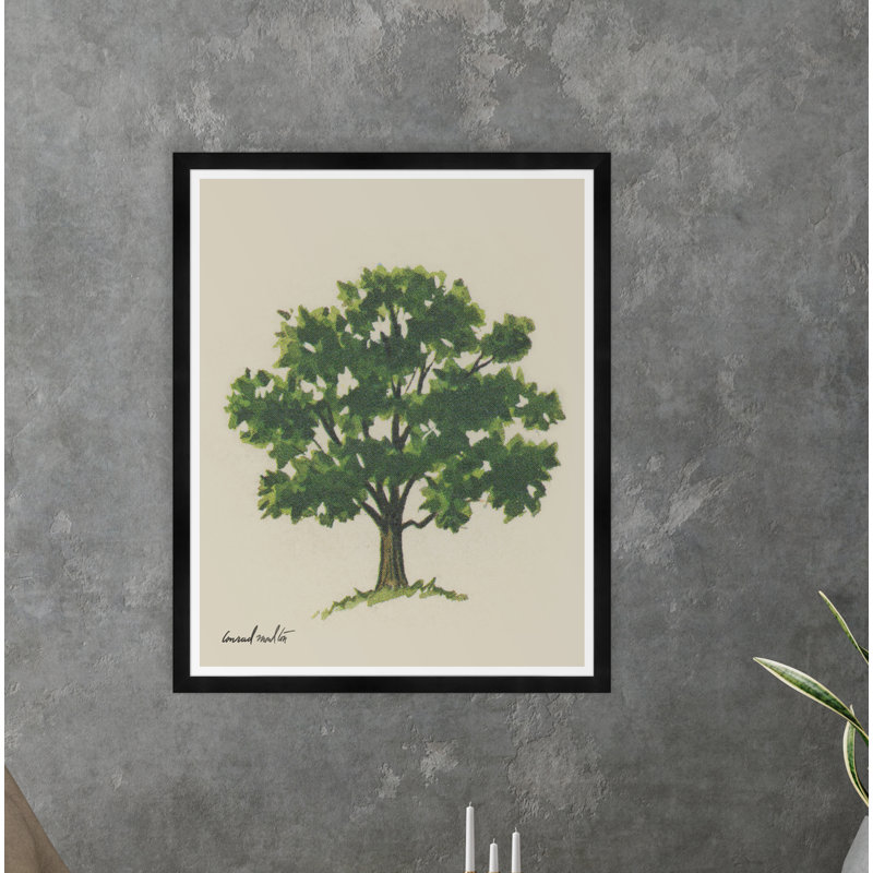 Moulton Collection " Meadow Tree Iii "
