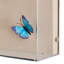 Tony Fey's Flight Of The Butterflies