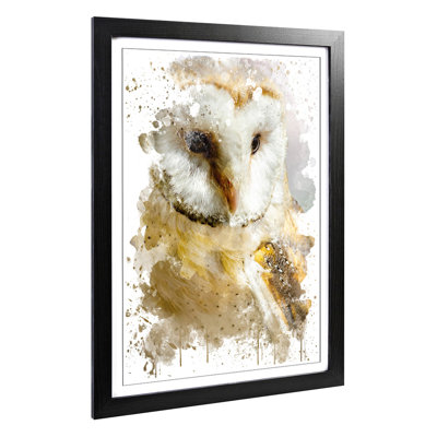 Barn Owl - Wall Art