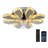 Liel Ceiling Fan with LED Lights