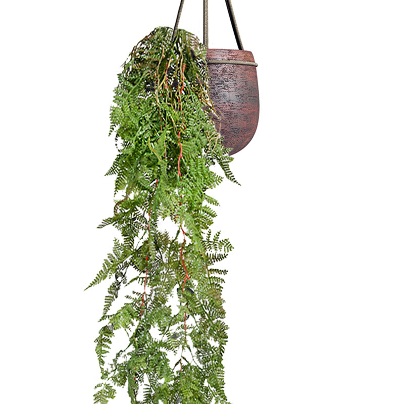 Ensemble de 12 plantes artificielles en fougère
