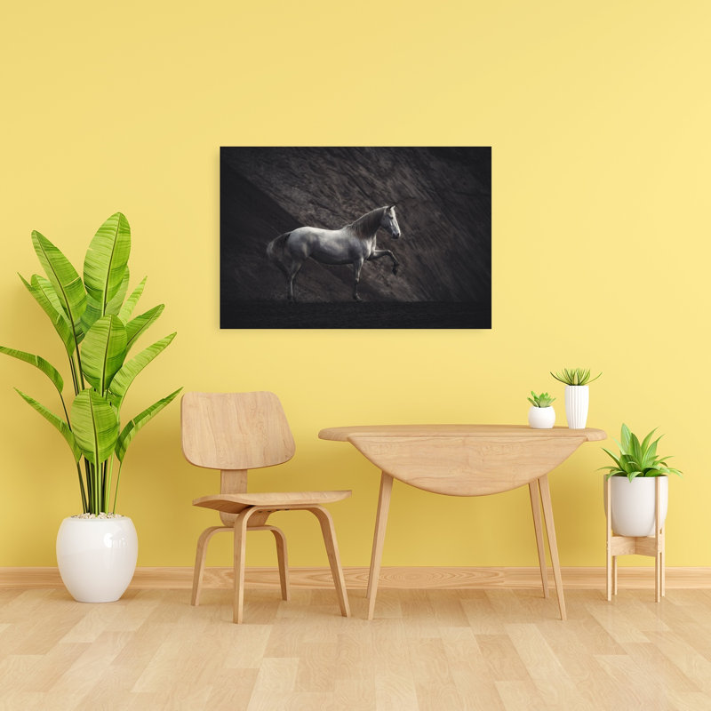Cheval blanc, sable noir, dramatique, cheval minimaliste, paysage, art mural, H 24 po x l 36 po