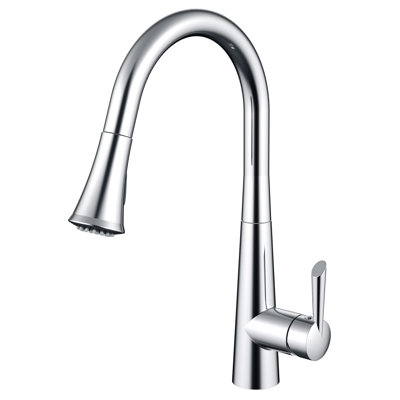 Daweier Pull Out Kitchen Faucet