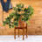 Fabric Ivy Arrangement