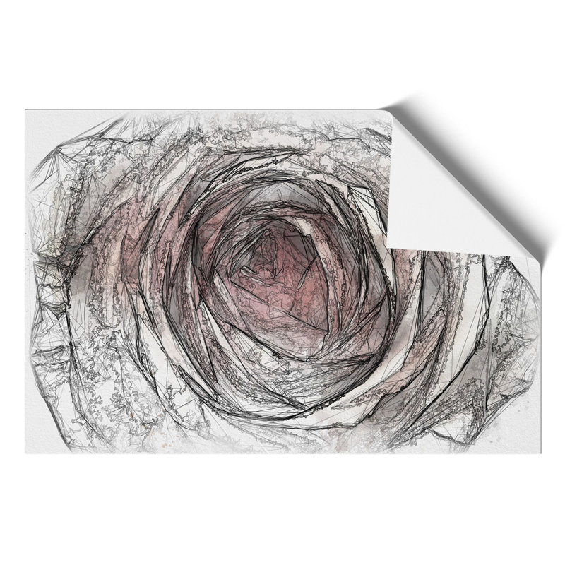 Pink Rose Flower Sketch - Frameless Print, 30cm H x 42cm W x 0.1cm D