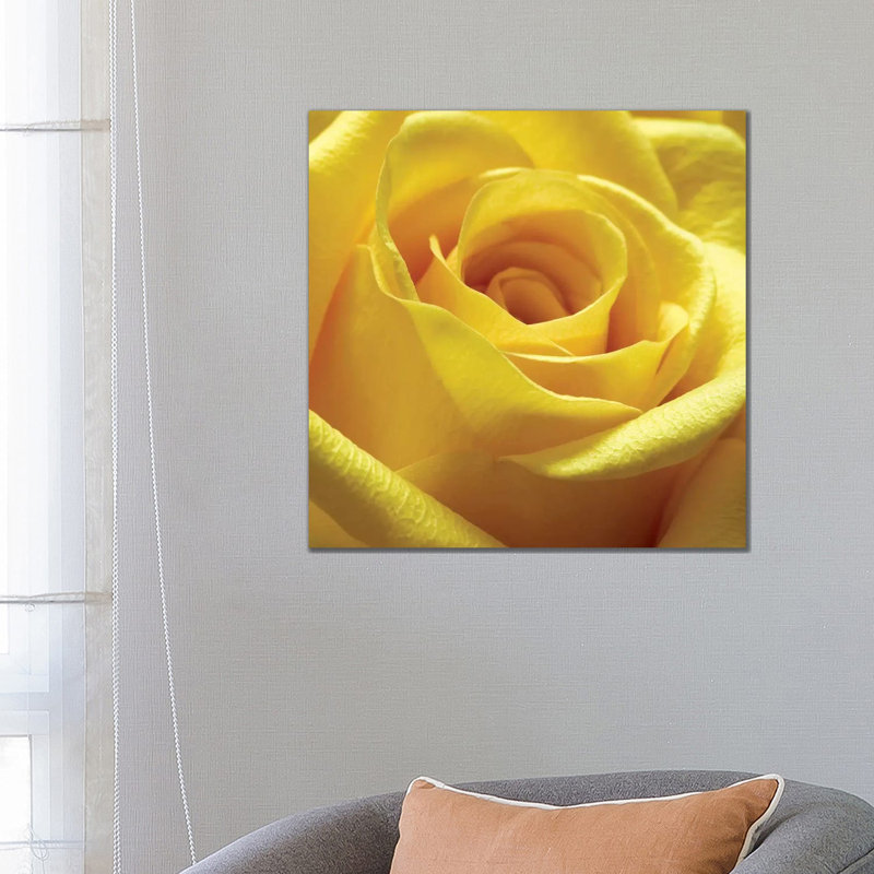 Yellow Rose by PhotoINC Studio - Wrapped Canvas Gallery-Wrapped Canvas Giclée, 66.04 cm H x 66.04 cm W, Black Floater Framed