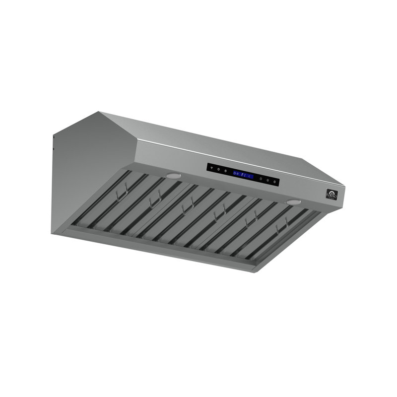 Filtres à chicane et télécommande robustes en acier inoxydable 36 po Forno Palazzo