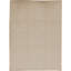 Floral Area Rug in Ivory
