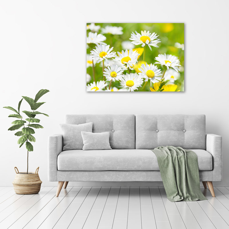 Daisies - Wrapped Canvas Print