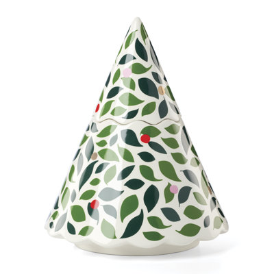 Pot Evergreen
