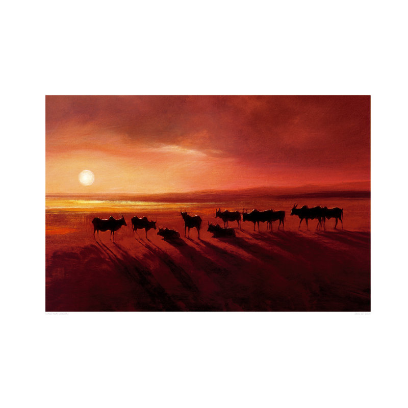 Zebu At Dusk by Jonathan Sanders - Print, 60cm H x 80cm W, Linen