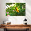 Crowle Oriole Songbirds-111823656