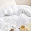 Coma Inducer Microfiber / Polyester Comforter-107136080