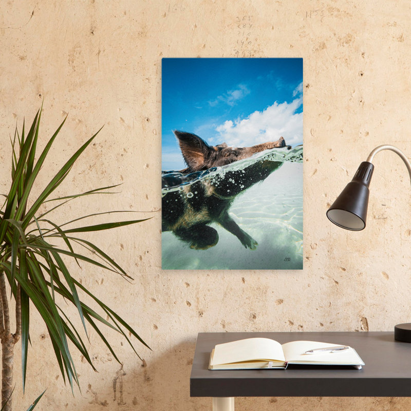 Swimming Pig - Animals Ocean Photography Pig Art, 24" H x 16" W