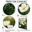 Barnhill - impressions sur toile florales-1483405375-1483405376-1483405378