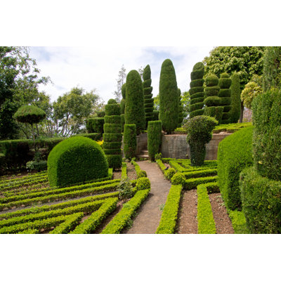 Decorative Green Park - Photographie sur toile tendue
