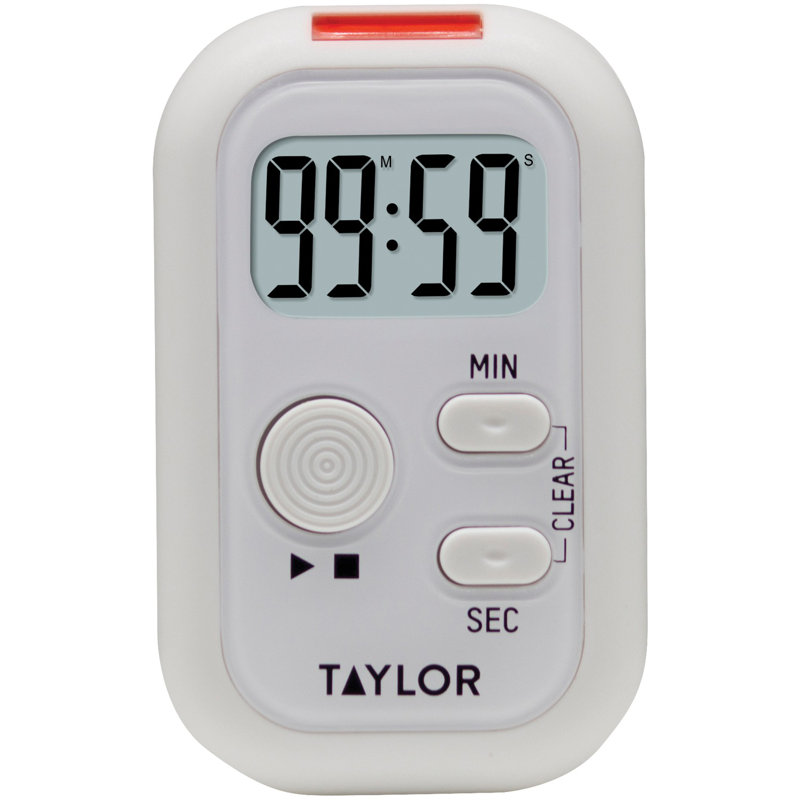 Taylor Flashing Light Timer