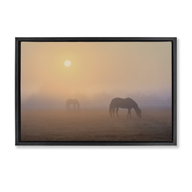 «Misty Sunlit Horses Floater» par Marty Hulsebos, Cadre flottant noir de jais, H 17 po x l 25 po