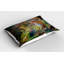 Ensemble de 2 taies décoratives Ambesonne Fox-100342707
