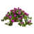Mauve est en rupture de stock