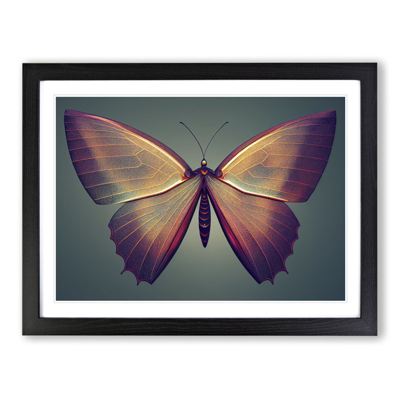 Compelling Butterfly - Single Picture Frame Print, Black Framed, 46cm H x 64cm W x 2cm D