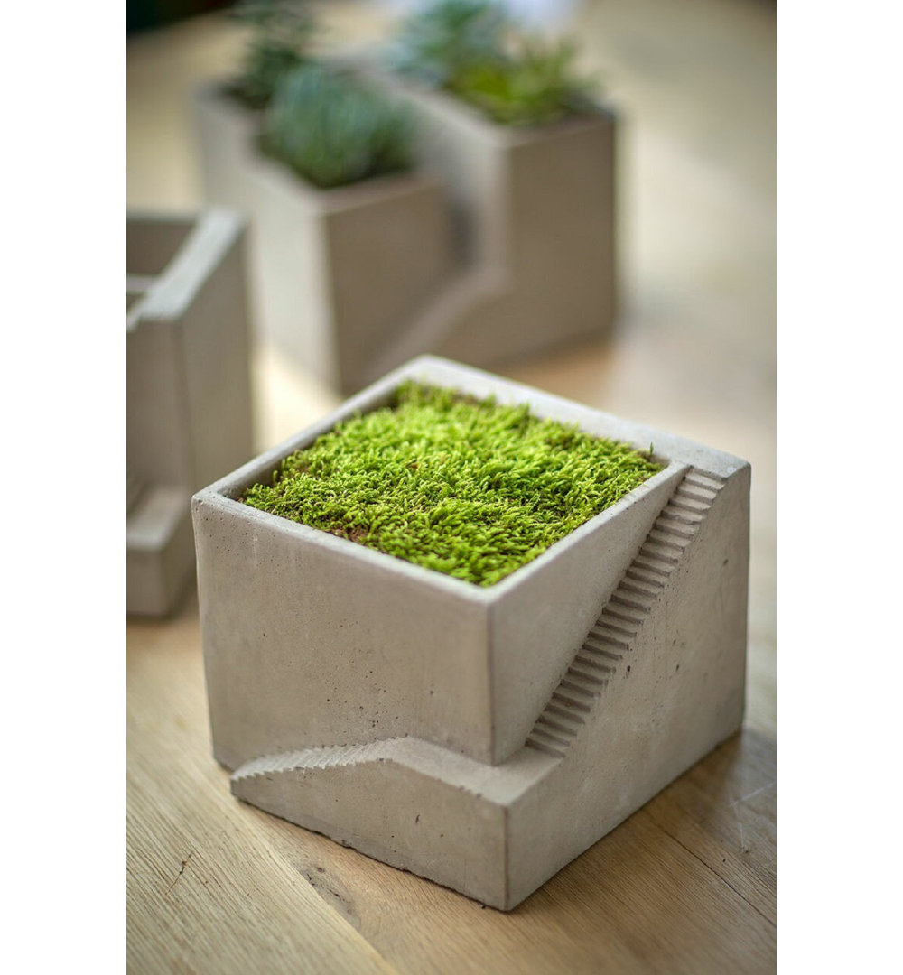 Pot Planter 17 Stories