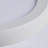 Dimmable Round Flush Mount