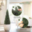 Arrangement in Pot