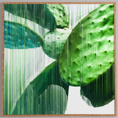 « fast épiphytes », impression encadrée