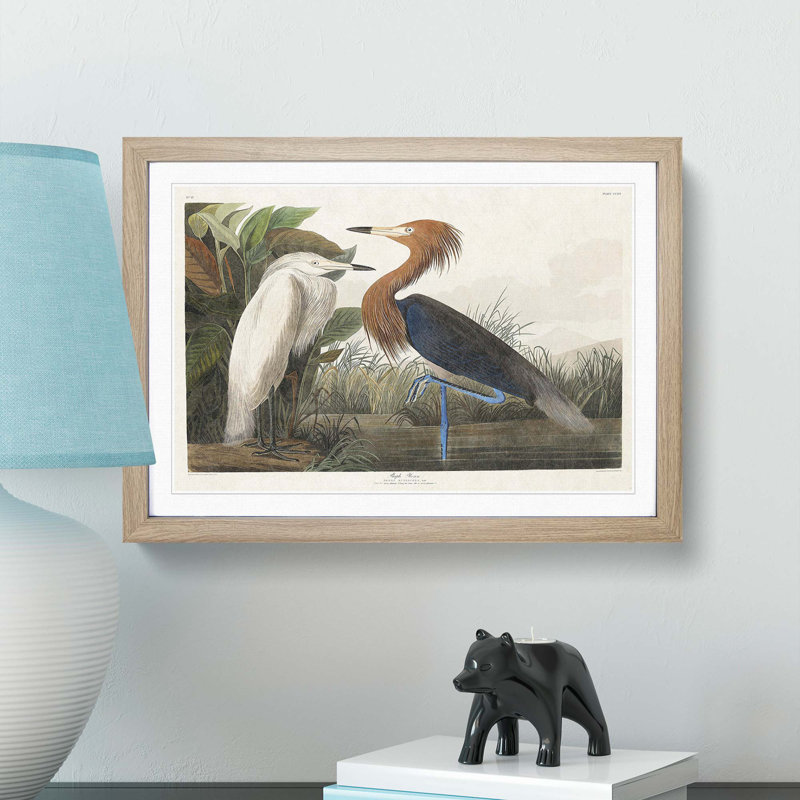 Heron by John Audubon - Picture Frame Painting Print, Oak Framed, 48cm H x 65cm W x 2cm D