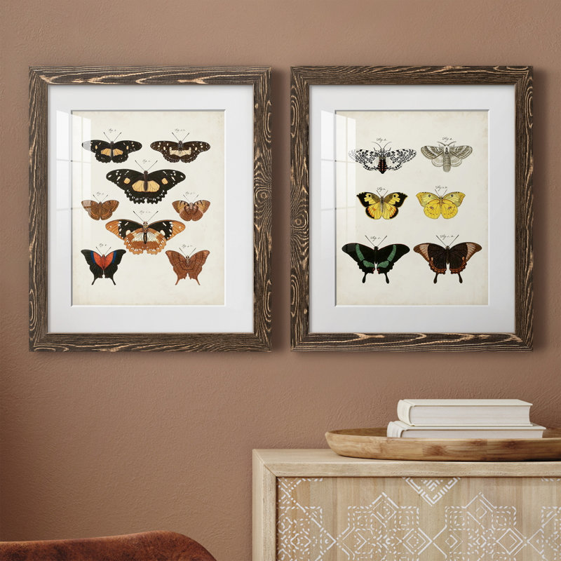 «Vintage Butterflies V», ensemble de 2 impressions encadrées, Papier, cadre noyer, H 20 po x l 17 po x P 1 po