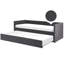 Airianna Upholstered Daybed with Trundle-1103268642