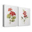 Écarlate géranium - ensemble de 2 reproductions d'art-2102043223-2102391990-2102391997