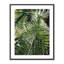 Palm I Print by Vitaliy Paykov-48619987-48619989