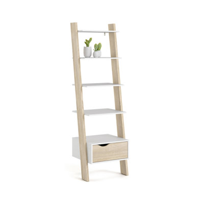 Anevaeh Ladder Bookcase