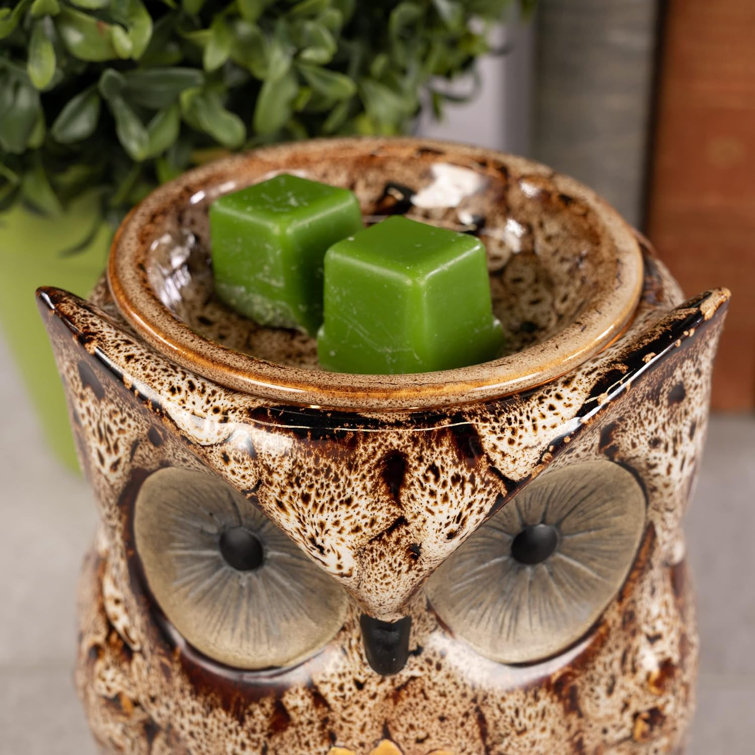 Any 2 Home Fragrance Oils With Owl Family Cut-tin Touch Base Electric Oil  Warmers 
