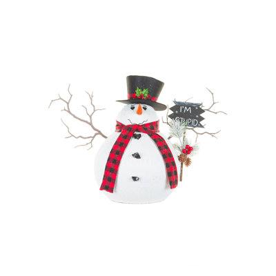 Figurine de bonhomme de neige en mousse blanche scintillante tenant une pancarte «I'm Stupid»