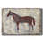 Iron Equine I-Gallery Wrapped Canvas-1701102120