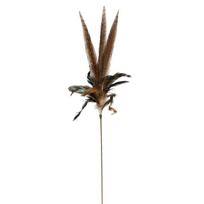 Pheasant Feather 31" H Sprays