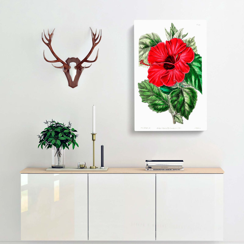 Chinese Rose - Wrapped Canvas Painting, 50cm H x 35cm W x 3cm D