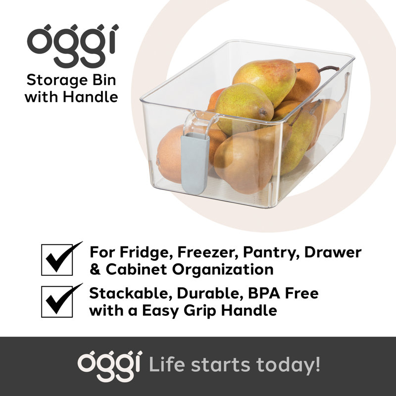 Large Clear BPA-Free Plastic Nesting Storage Bins Set