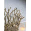 Hurricane de table en verre-74907079