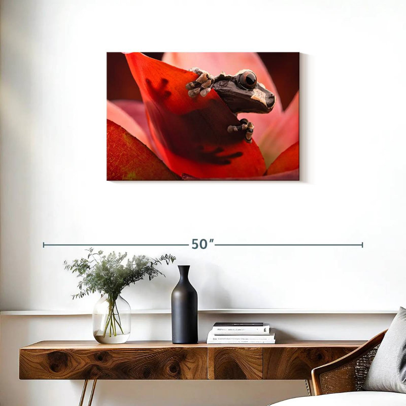 Brampt Amazon Tree Frog, 20" H x 30" W