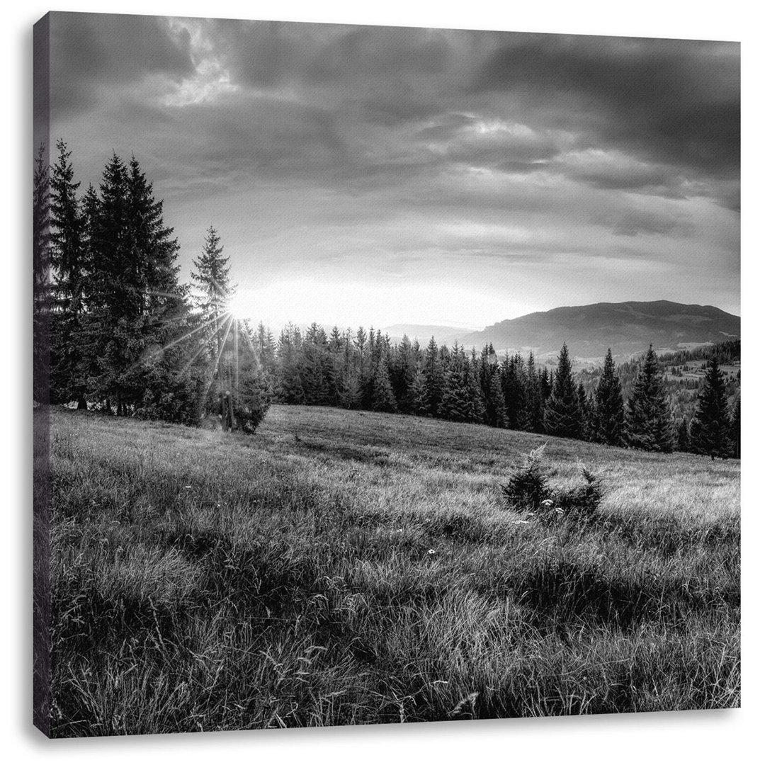 Leinwandbild Wiesenlandschaft bei Sonnenuntergang