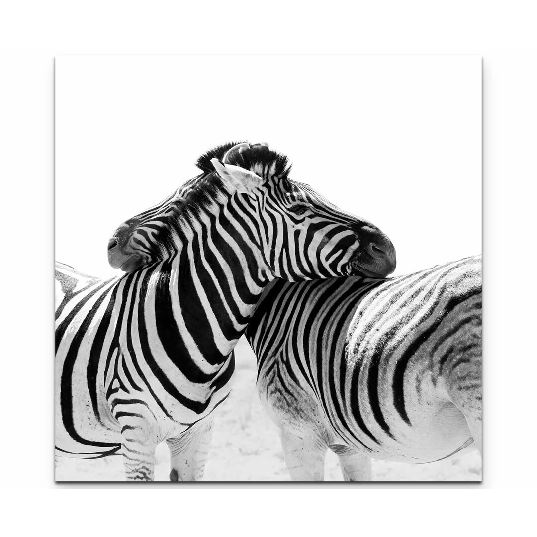 Leinwandbild Kuschelnde Zebras – Namibia